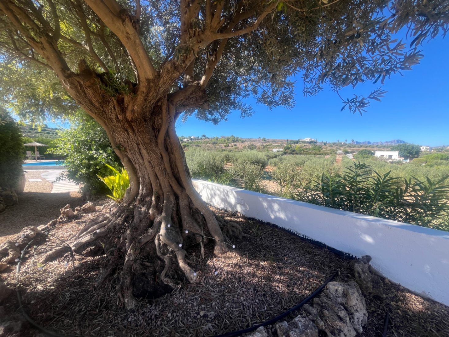 Charmante gerenoveerde finca te koop in Moraira