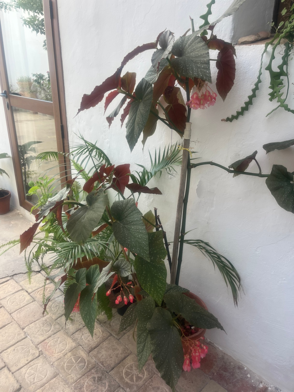 Beautiful village house with patio in Jalón for sale.