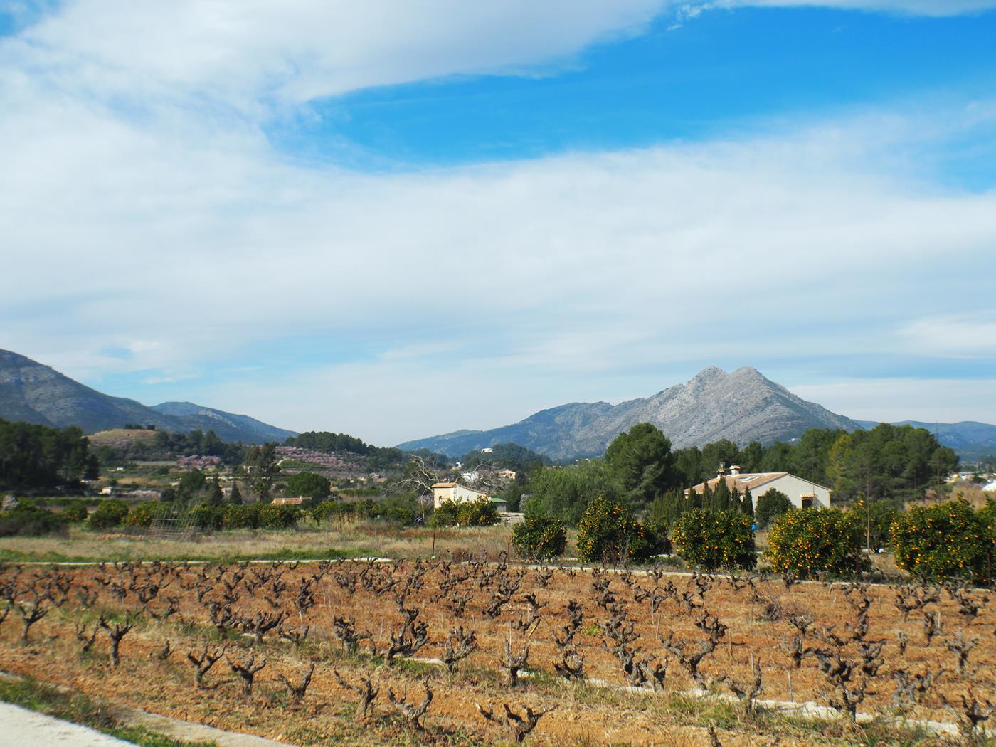 Beautiful village house with patio in Jalón for sale.