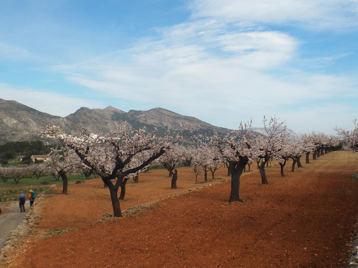 Beautiful village house with patio in Jalón for sale.
