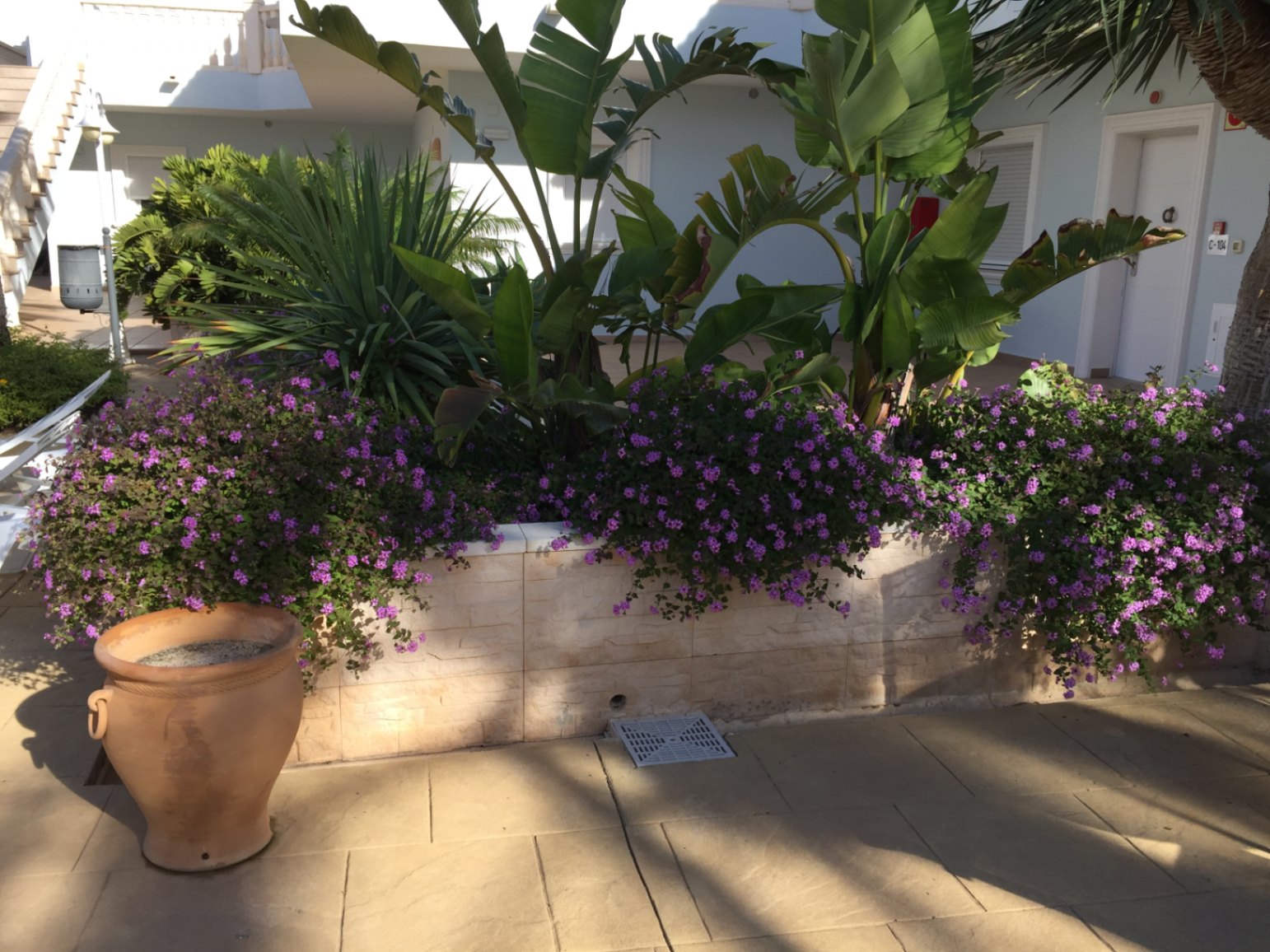 Luxury apartment for sale in La Fustera